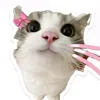 vancamm_