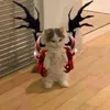 dolboyobde