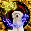 hunde_lady