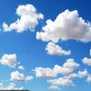 skycaprii