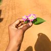 ms_mide24