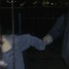 yolo.is._o
