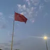 pdk_7347