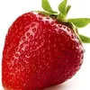 user38kvvhe5bc