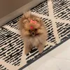 Luna_lulu1211