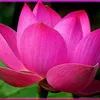 123huong4567890