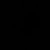 cdiizz3