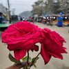 _redowan.masud_