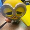 luna_fll4