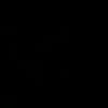 spixalt13
