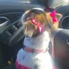 miss.minnie_princess