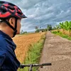 trijaya_03