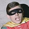 thewittyrobin