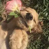 chupachupcuti