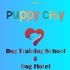 puppycitydogtrainingsch