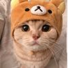 pjshm
