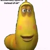 taochobayacc