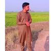 waqaskhokher7860