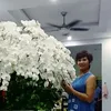 user36puzsyhdt