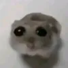 samupixie