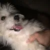 ccvbmmm6