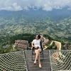 thanhnhu02122020