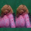 babygirl7149