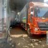 auto_duc_long