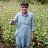 ghadirhussain120