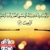 ahmed.moaz13
