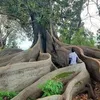 adamacamara1306