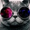 vixzy511