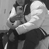 ..316dodo