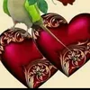 dy9inswltmbj