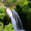 labyad197