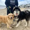 makeypack