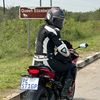 Pest256