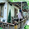 nguyenuyen122905