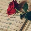 user7633630479967