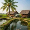 Góc Nhỏ Trong Vườn