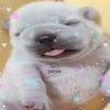 n0facedxixi