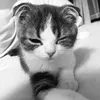 lizka_vee
