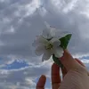 neyera_15also