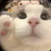 ahihiiuu_05