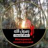 ehabalibadrbadr