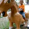 wateni66