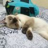 bunda0520