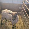 wiscoconcretefarm