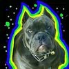 user9683108357084
