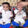 ahmadahsan5061